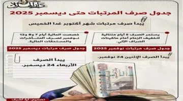 موعد صرف رواتب ديسمبر 2025 للعاملين بالحكومة يبدأ 6 ديسمبر.. تفاصيل الدفعات وجدول الصرف لجميع الوزارات